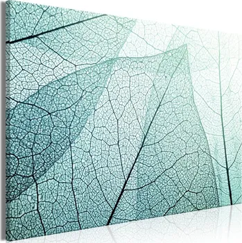 Obraz Obraz - Makroflora (1 díl) Široký Velikost: 60x40 cm, Provedení: Standard