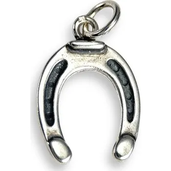 Přívěsek Drakkaria PODKOVA, stříbrný přívěsek, Ag 925