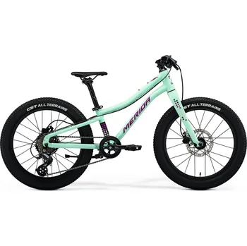 Dětské kolo MERIDA Matts J. 20+ Matt Mint (Purple/Wht/Blk)