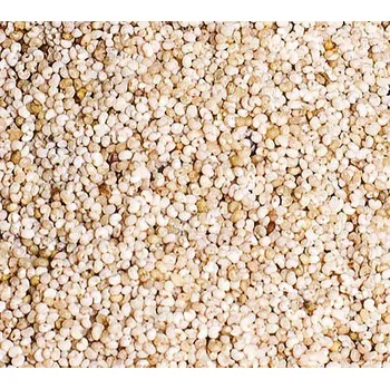 ČR Mák bílý 1000 g