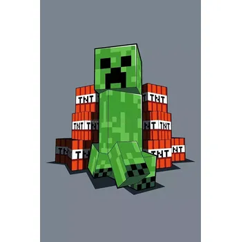 Dětská deka Fleecová deka Minecraft TNT