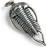 Drakkaria TRILOBIT, amulet, stříbrný přívěsek, Ag 925
