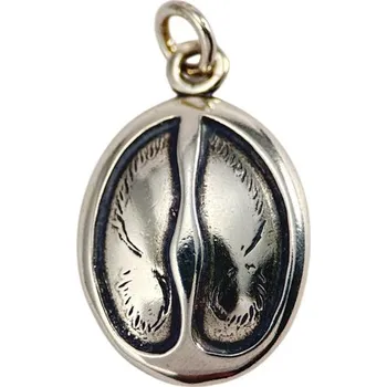 Přívěsek Drakkaria JELENÍ STOPA, šperk, stříbrný přívěsek, Ag 925