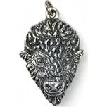 Drakkaria TATANKA - BIZON stříbrný přívěsek, Ag 925