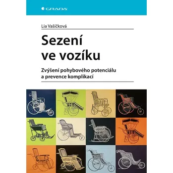Kniha Sezení ve vozíku