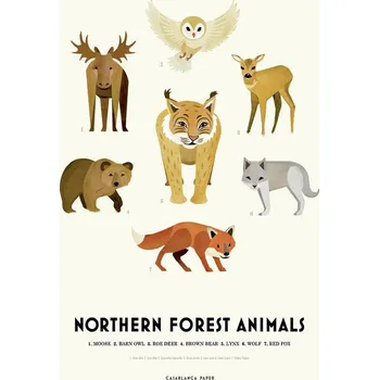 Plakát Plakát, Obraz - Northern Forest Animals, Erik Wintzell