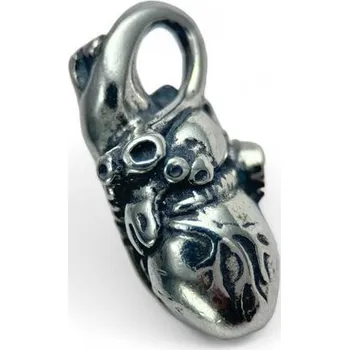 Přívěsek Drakkaria ANATOMICKÉ SRDCE, stříbrný přívěsek, Ag 925 18g