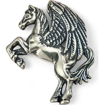 Přívěsek Drakkaria PEGASUS, stříbrný přívěsek, Ag 925