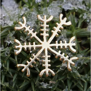 Přívěsek Drakkaria Aegishjalmur - Islandská Runa, přívěšek, pozlaceno