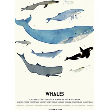 Plakát Plakát, Obraz - Whales, Erik Wintzell
