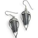 Drakkaria TRILOBIT stříbrné náušnice, Ag 925