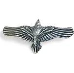 Drakkaria Letící VRÁNA, stříbrný přívěsek, Ag 925