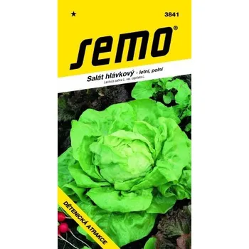 Semeno SEMO Salát hlávkový dětenická atrakce 1 g (Exsp:12/25)