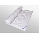 2G Přikrývka Clivie zimní 220x135(1300g)