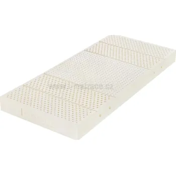 Matrace Tropico Klára Aegis 100 x 200 x 15 cm Doprava ZDARMA.