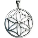 Drakkaria SVARGA, stříbrný přívěsek, Ag 925