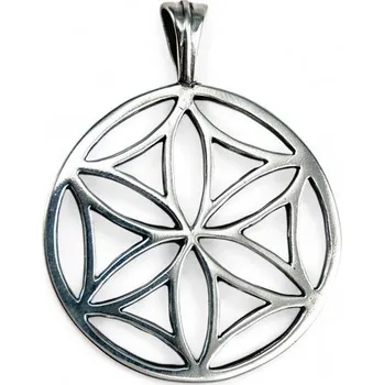 Přívěsek Drakkaria SVARGA, stříbrný přívěsek, Ag 925