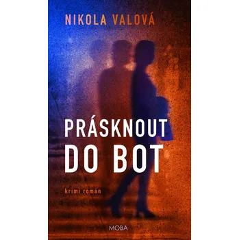 Prásknout do bot - Nikola Valová (E-Kniha)