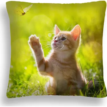 Polštář VELKÝ 50*50 POLŠTÁŘ KOČKA 43 HRA S MOTÝLKEM