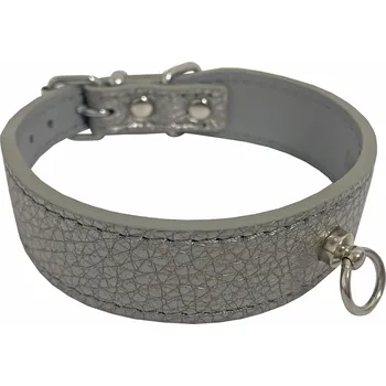 Obojek pro psa HUHUBAMBOO METAL obojek titanový S 2,4x26-31cm (355458)