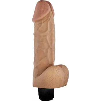 Vibrátor Toyjoy BOY WONDER 20 cm VIBR.DONG FLESH