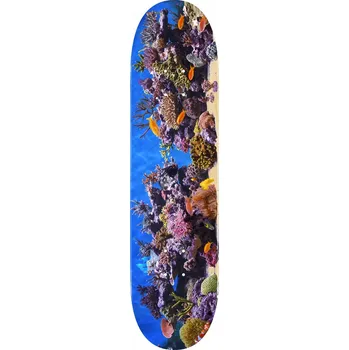 Příslušenství pro skateboard mini logo Deska fish tank deck