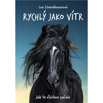 Kniha Rychlý jako vítr: Jak to všechno začalo Ekniha