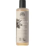 Urtekram Šampon proti lupům Jemný zázvor BIO 250 ml