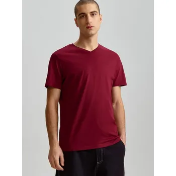 Pánské tričko Tričko s výstřihem do V - M - House - kaštanové - 392EN-83M