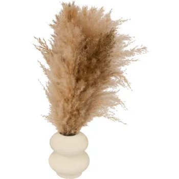 Keramický dřez Atmosphera Kompozice pampové trávy GLEN v keramické váze, výška 42 cm