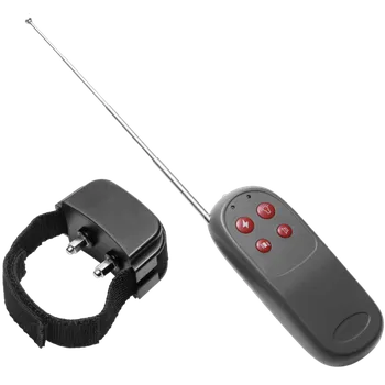 Master Series Cock Shock Remote CBT Electric Cock Ring