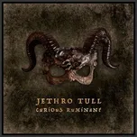 Jethro Tull : Curious Ruminant / Deluxe edition CD