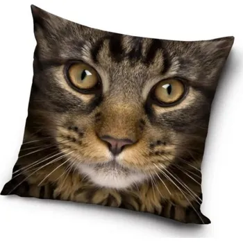 Polštář Povlak na polštář kočka (10)