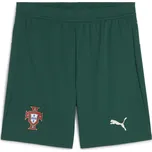 Kraťasy Puma Green 1080884 2XL