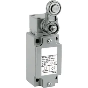 vypínač SEZ KSBM5E41X11 Koncový spínač kovový s pákou a kladkou - nylonové kolečko (průměr 22 mm), šířka 40 mm