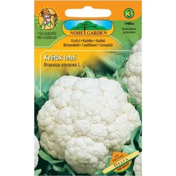 Semeno Nohel Garden Květák letní DELTA