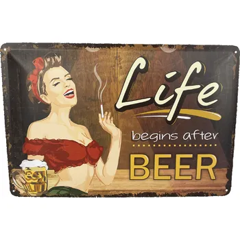 Plechová cedule DODINO Plechová cedule Life begins after beer 20 x 30 cm