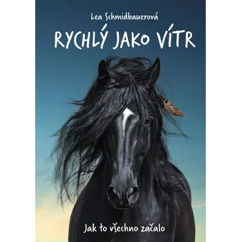 Kniha Rychlý jako vítr: Jak to všechno začalo