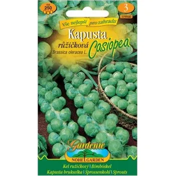 Semeno Nohel Garden Kapusta růžičková CASIOPEA