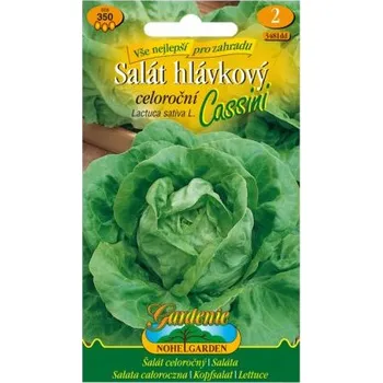 Semeno Nohel Garden Salát hlávkový celoroční CASSINI