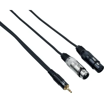 Příslušenství ke zvukové technice Bespeco EAYMS2FX300 3 m Audio kabel