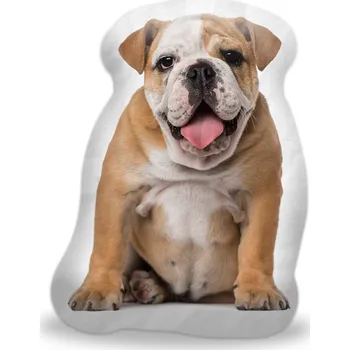 Polštář Sablio 3D polštář ve tvaru Anglický bulldog
