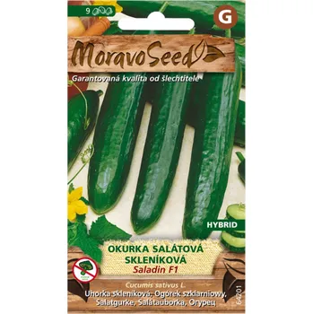 Semeno MoravoSeed Okurka salátová skleníková Saladin F1 9 ks