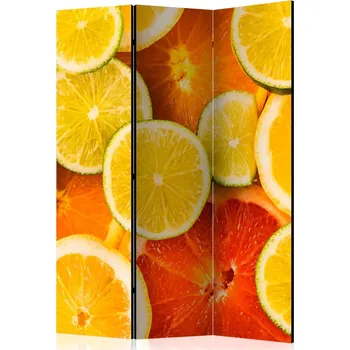 Paraván Paraván Citrus fruits Dekorhome
