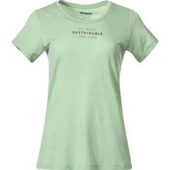 Dámské tričko Bergans Graphic Wool Tee Women Light Jade Green/Chianti Red S Tričko