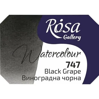 Vodová barva Rosa 343747 Akvarelová barva 747 Black Grape 2,5 ml 1 ks