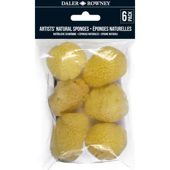 Speciální výtvarná barva Daler Rowney 132990010 Malířské houby