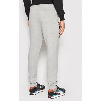 Pánské kalhoty Alpha Industries Teplákové kalhoty Basic 116368 Šedá Regular Fit M