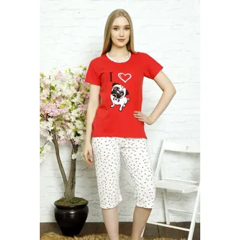 Dámské noční prádlo Pyžamo dámské Christina Secret - Pes, barva světle šedá - M