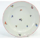talíř d24cm mělký RAK. HÁZENKA, čes.porcelán